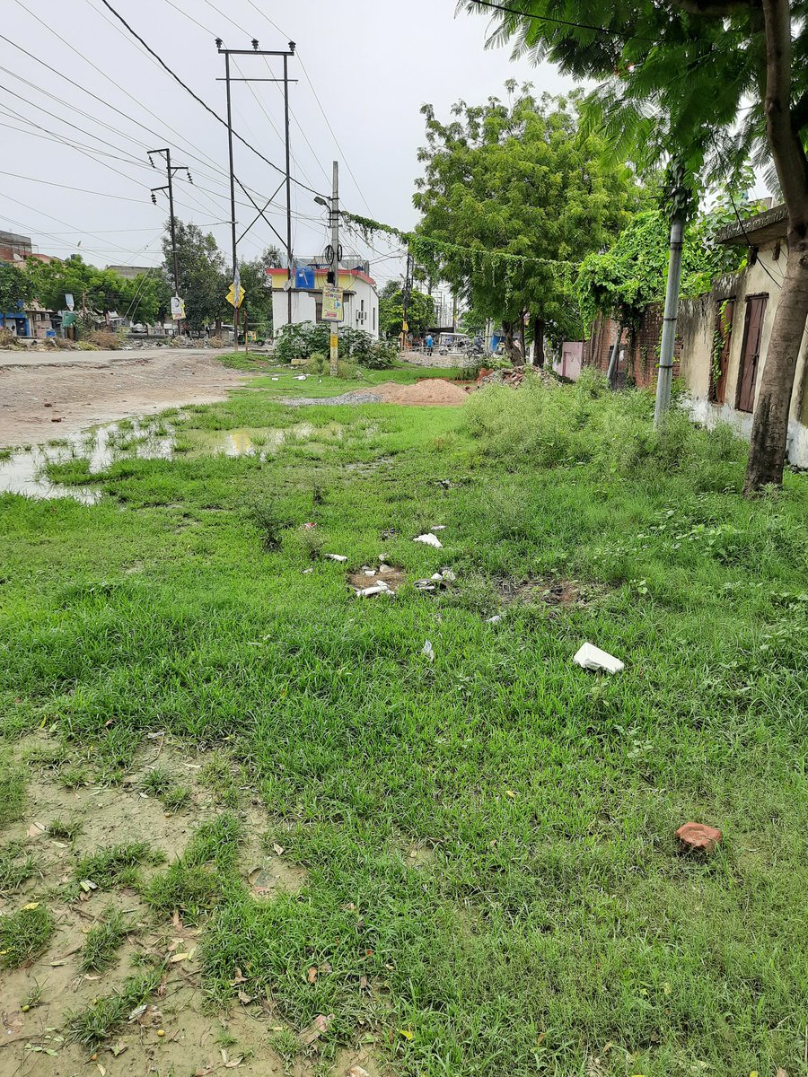YogeshwarNathS1's tweet photo. Dear @SanyuktaBhatia @GopalJi_Tandon the below images are outside my house Near Traffic Training Park Lucknow. There is no road, no proper drainage facilities and things are getting worse day by day. Please help. @CMOfficeUP @LucknowNagar https://t.co/JV3Qio9Y92