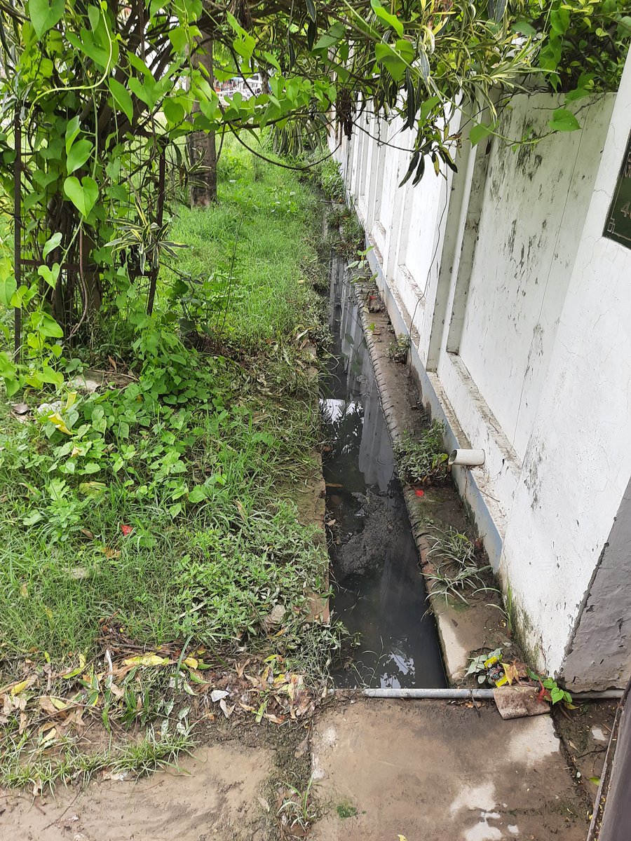 YogeshwarNathS1's tweet photo. Dear @SanyuktaBhatia @GopalJi_Tandon the below images are outside my house Near Traffic Training Park Lucknow. There is no road, no proper drainage facilities and things are getting worse day by day. Please help. @CMOfficeUP @LucknowNagar https://t.co/JV3Qio9Y92