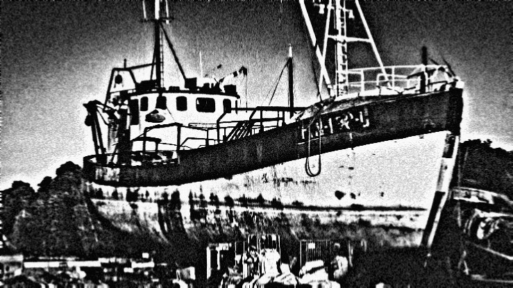 𝖌𝖆𝖓𝖌 𝖕'𝖐𝖆𝖚𝖓𝖌𝖌𝖆𝖔 📨

กองทัพเรือเก่า จองกุก &amp; 𝒊𝒎𝒈 ❾❼   #.แก๊งพี่ของเก่า🖖🏿 แลกฟอลตามทัก

ยพท ลฟตท′🗞️