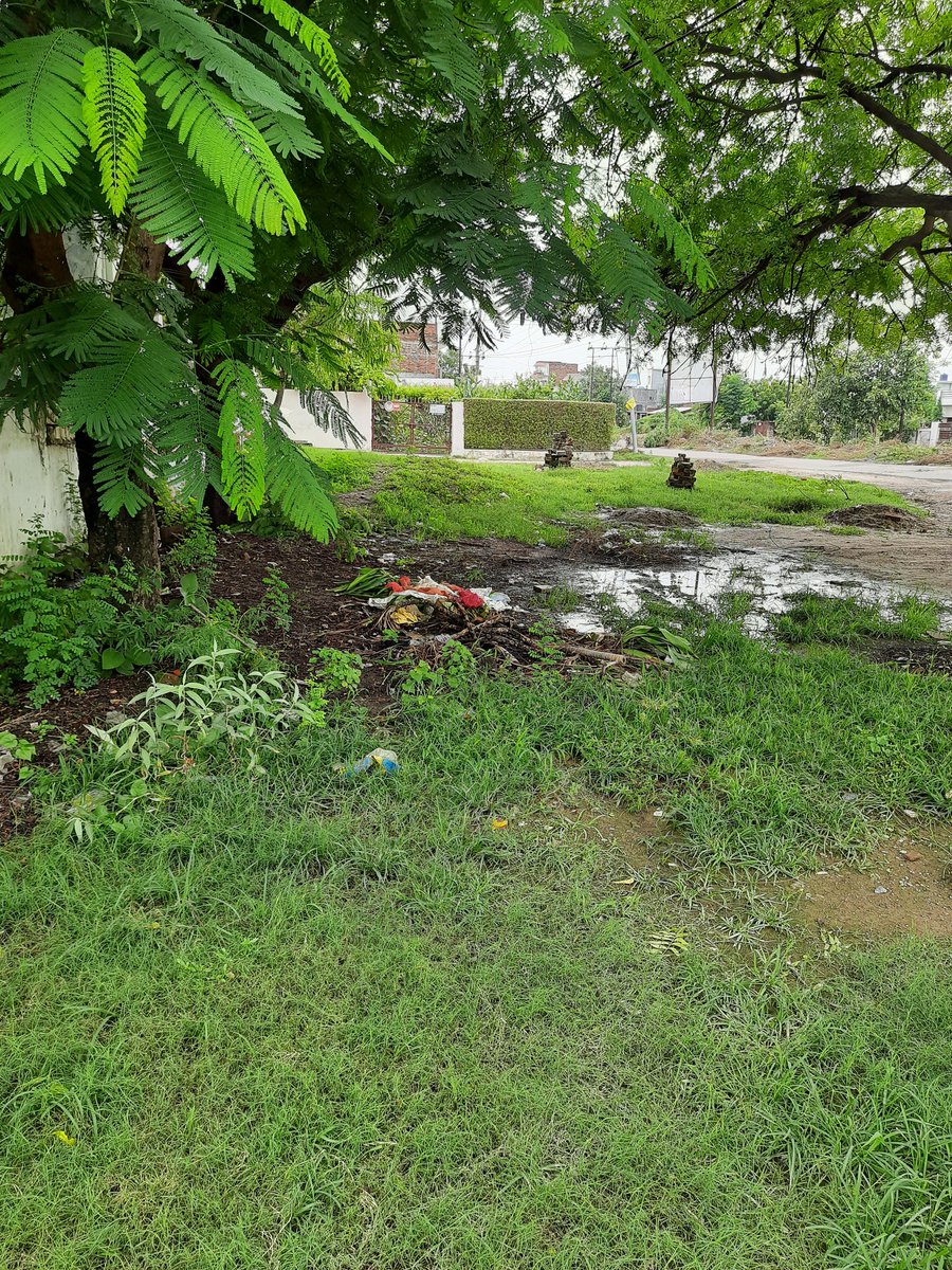 YogeshwarNathS1's tweet photo. Dear @SanyuktaBhatia @GopalJi_Tandon the below images are outside my house Near Traffic Training Park Lucknow. There is no road, no proper drainage facilities and things are getting worse day by day. Please help. @CMOfficeUP @LucknowNagar https://t.co/JV3Qio9Y92