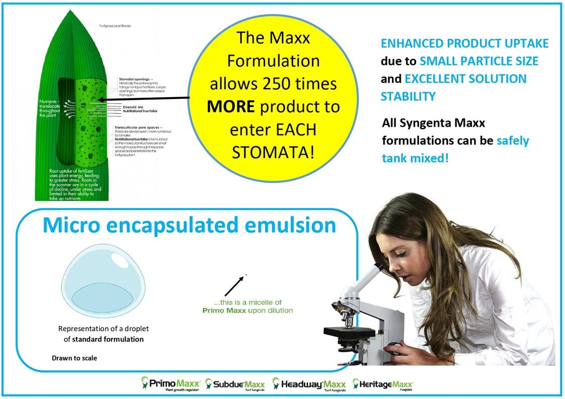 Talking_Turf's tweet photo. The amazing benefits of MAXX formulations.π¬ #MaxxFormulations #Syngenta https://t.co/6YwQxO27Y2