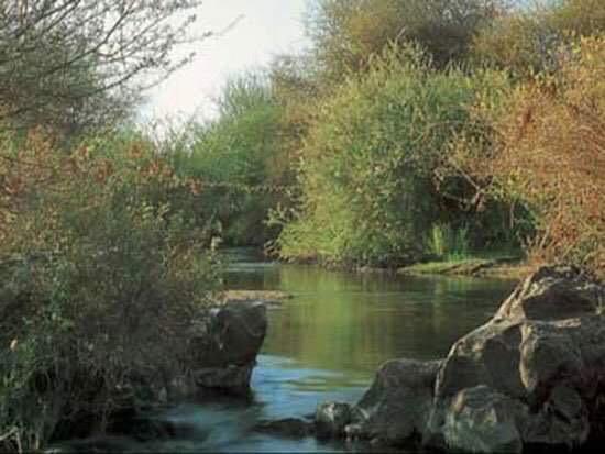 محمية سالوجا وغزال
إحدي المحميات الطبيعية في جنوب مصر،اسوان وتعتبر اصغرها
الاسم مأخوذ من أهم جزيرتين...