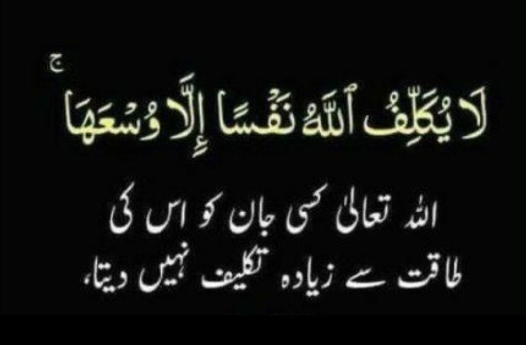 DR ABBAS tweet media