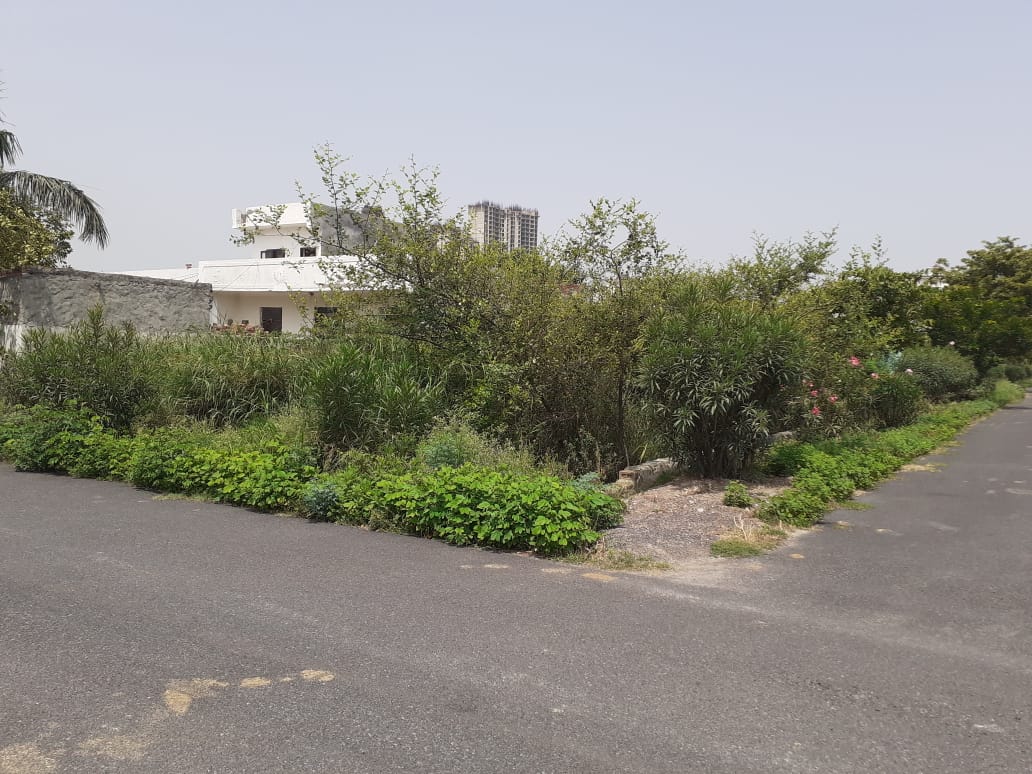 rwa_99's tweet photo. @CeoNoida 
@noida_authority 
@SwachSurvekshan Grown grasses of sector-99 noida are becoming a serious issue for the residents. After couple of letter to the authority no action is taken. Kindly take some action. 

Vinod Chaudhary
(RWA President)
Sector-99 https://t.co/DSfAJF8s1g