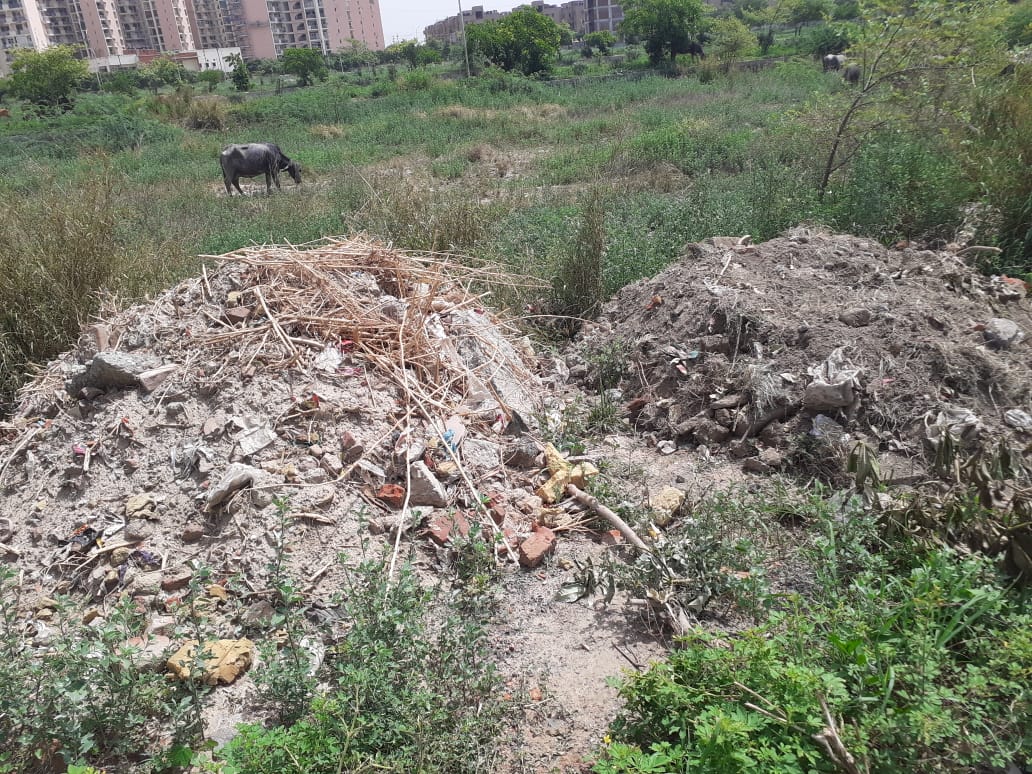 rwa_99's tweet photo. @CeoNoida 
@noida_authority 
@SwachSurvekshan Grown grasses of sector-99 noida are becoming a serious issue for the residents. After couple of letter to the authority no action is taken. Kindly take some action. 

Vinod Chaudhary
(RWA President)
Sector-99 https://t.co/DSfAJF8s1g
