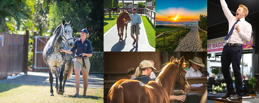 mmsnippets's tweet photo. BREAKING NEWS: One Week Delay for Magic Millions National Sale.

Following today’s announcements in relation to COVID-19 restrictions, a decision was made, in conjunction with stakeholders, to now commence the auction on July 27.

Read more here: https://t.co/FjHapMFtIt https://t.co/jplg5vWMEl
