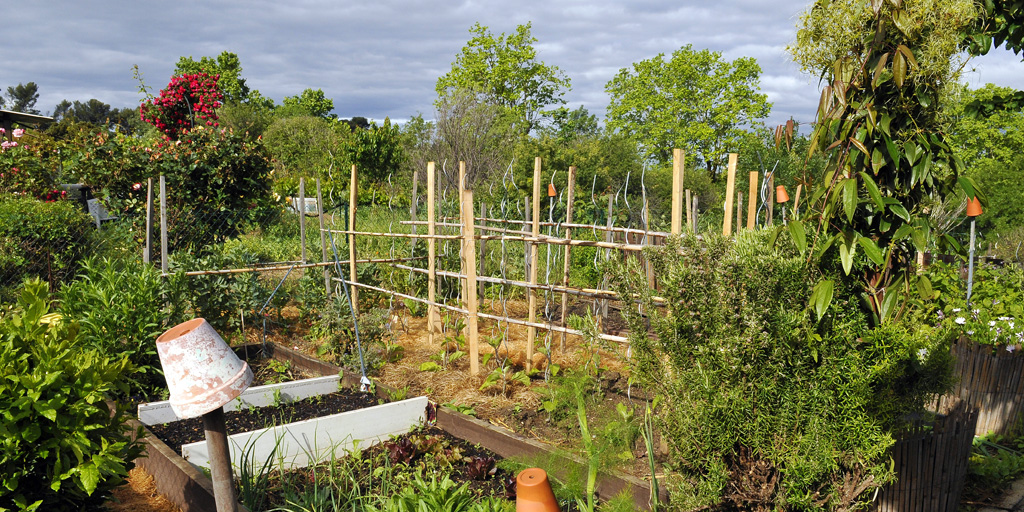 AMPMetropole's tweet photo. L’#agriculture urbaine, un facteur de renforcement de l’attractivité des centres-villes :
🌿 un retour de la nature en ville 
👍 des jardins partagés 
➡ une alimentation locale 
🍅 des produits frais 
Plus d’infos : https://t.co/e9sj2EgfAc https://t.co/YqvXy6MD6C