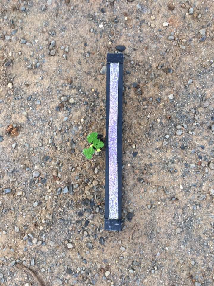 Croplands's tweet photo. Service and sales training Croplands TM David Hamilton and @sunrseag. Cold start to the day but the sun eventually came out. WEED-IT Quadro put through its paces. https://t.co/2zfbTIpCOP