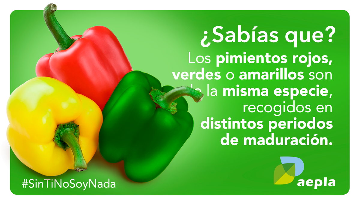aepla_asoc's tweet photo. La búsqueda de la perfección y el conocimiento en #agricultura ha hecho posible que podamos disfrutar de una diversidad de #alimentos extraordinaria.
🌶🔍👨🌾❤️
#SinTiNoSoyNada🌱💚
#DelLabAlCampo🔬➡️👨🌾 https://t.co/TM53jgVLvq