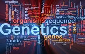 Rachel_walker08's tweet photo. #New #Gene #Therapy Shows Promise in #Hemophilia A Mouse Model. #Submit your #latest innovative #research on #genetics at #Genetics2020 at #Dubai_UAE on #October12_13_2020 #microbiology #biochemistry #cellbiology #molecularbiology #laboratory #health #dnagenetics #epigenetics https://t.co/Yw7tXbAOoo