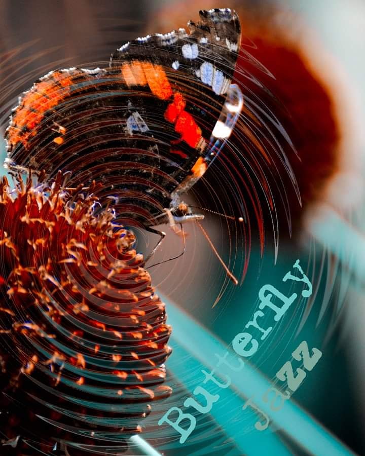 Steve Foster (@stevefo5ter) on Twitter photo 