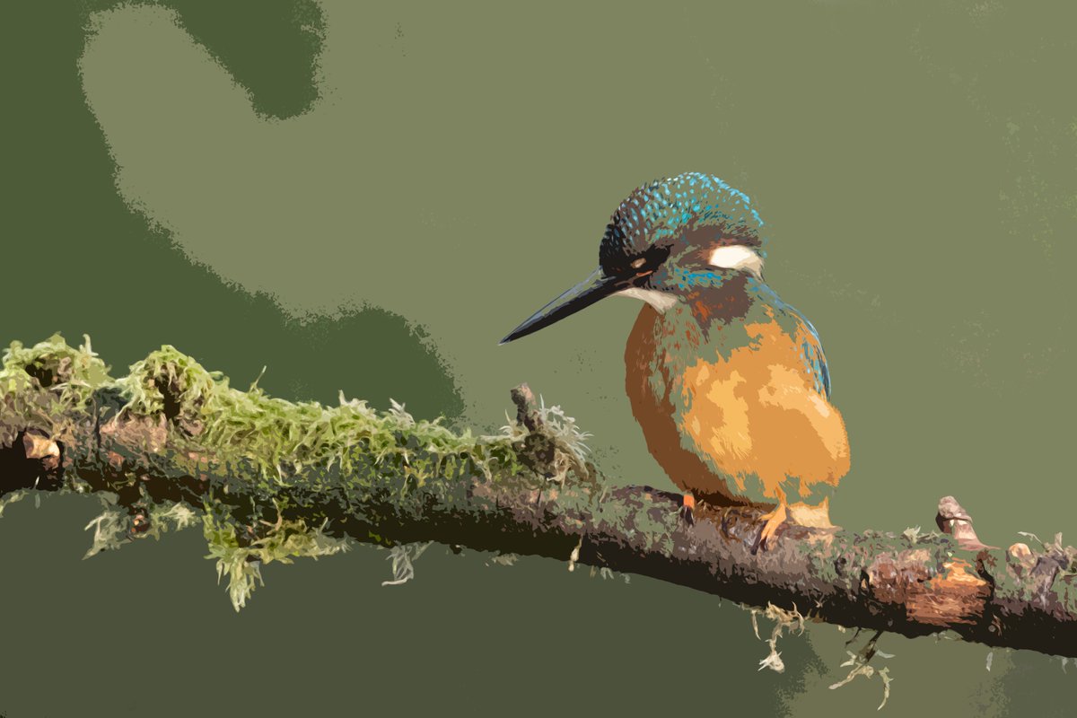 MalsMercer's tweet photo. Can't decide which postcards to enter into #PostCardShow. Lockdown has provided an opportunity to connect with nature & be creative. Must decide before closing date of 31st July #wildartPCS #nature @Nottswildlife @30DaysWild
Visit https://t.co/eWFTIcPuK8 for more info https://t.co/yiHzTlGF5z