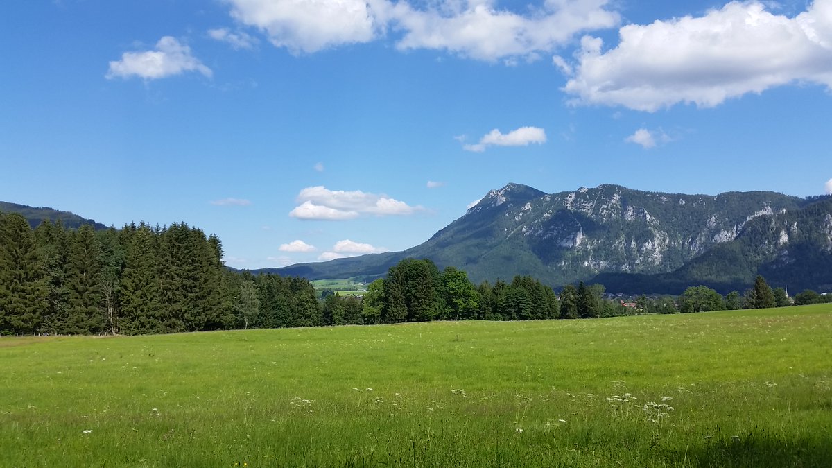 Inzell_Urlaub's tweet photo. Fröhliche Kühe in Inzell. 🐄 Was wären unsere Almen und Wiesen ohne Kühe? Genau: Ein Stück Tradition ärmer! 😍
Heute internationalen Ehrentag der Kuh. 
...
#inzellimchiemgau #chiemnow #bauern #natur #landschaft #milch #urlaubbayern #urlaubchiemgau #urlaubinzell #kuh https://t.co/NWw3jtk0rl