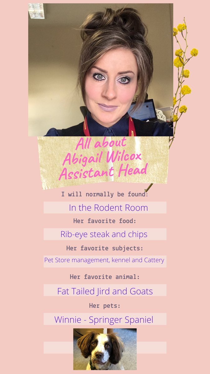 CollegeWitton's tweet photo. Get to know the team this week within Animal Studies. The first up is   Assistant Head,  Abigail Wilcox 👇 #meettheteam #teamwitton https://t.co/p8eWeKgLq4