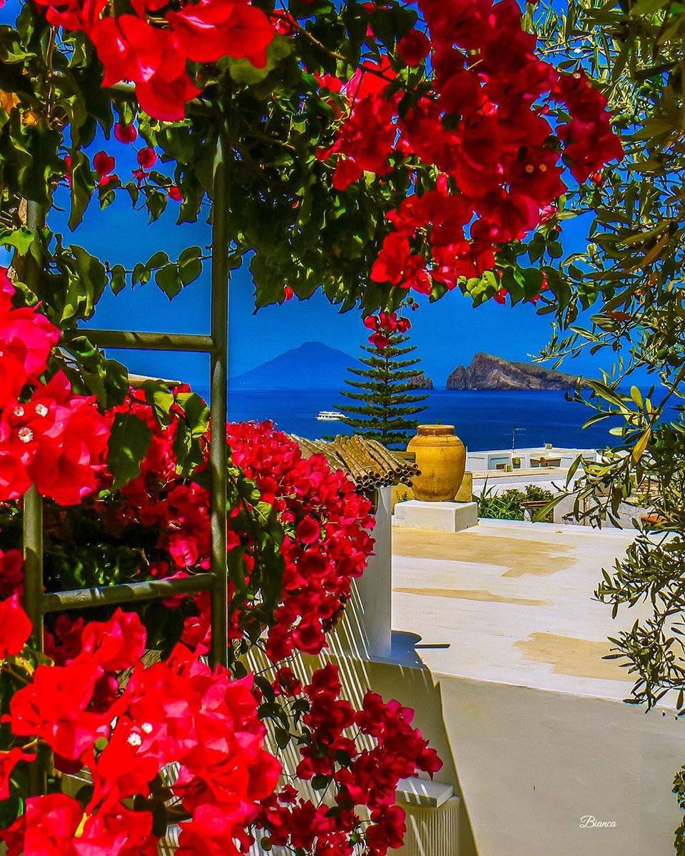 Bouganville, bianche terrazze inondate dal sole ed un mare che più blu non si puo'. Alzi la mano chi non vorrebbe essere a #Panarea adesso?

#visitsicilyinfo #messina #AeolianIslands #viaggioinisicilia #viaggioinitalia #estateitaliana #islands #sicily 

📷 Bianca ferraro