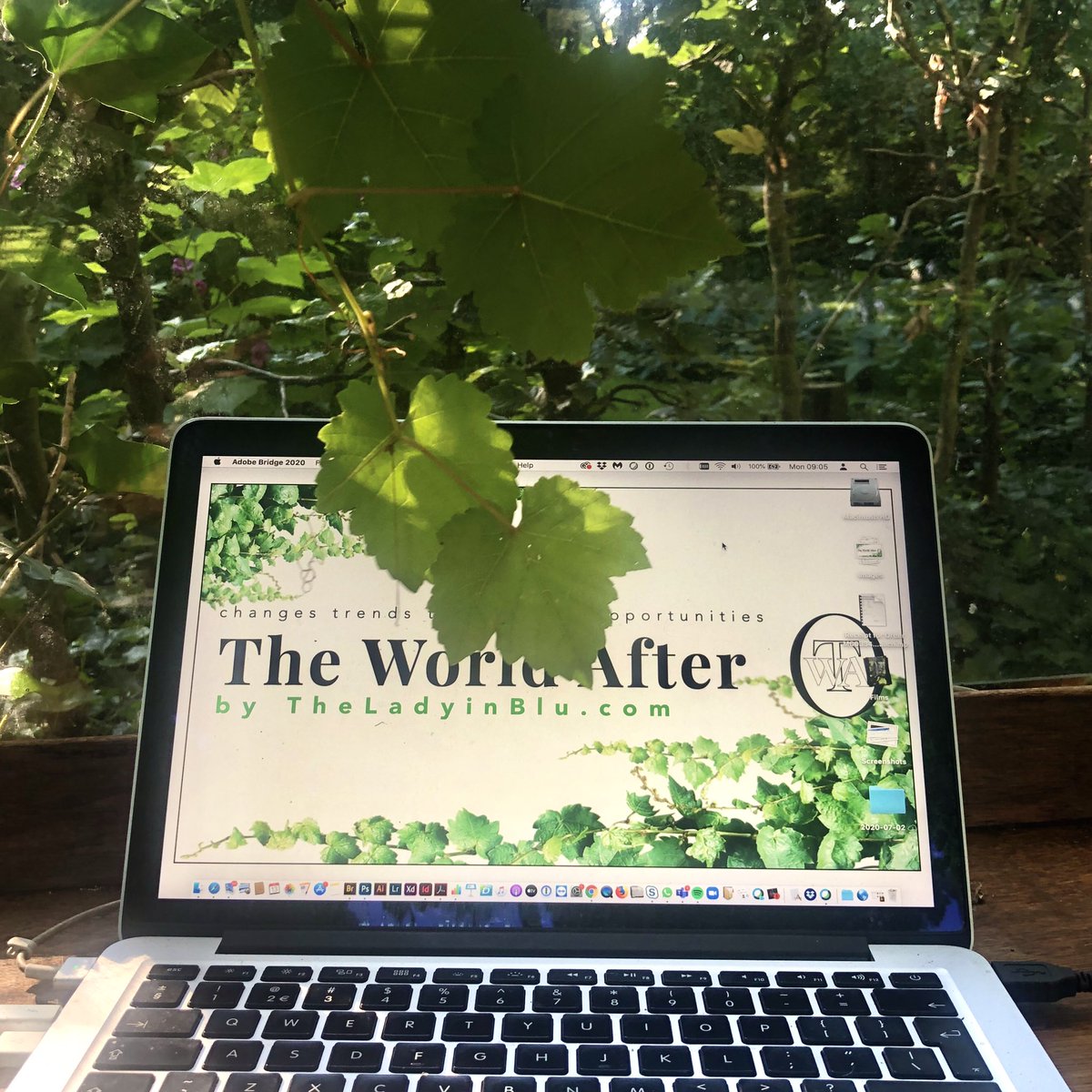 theladyinblu's tweet photo. The Greenhouse  build as a hub for the online office for ‘The World After’ now serves as a hub for her online office.

We even can’t imagine going back to an normal office of ‘The World Before’ #theworldafter #thegreenhouse #theladyinblu #office2020 #onlineoffice #trendforecaster https://t.co/Xw1UJdARYz