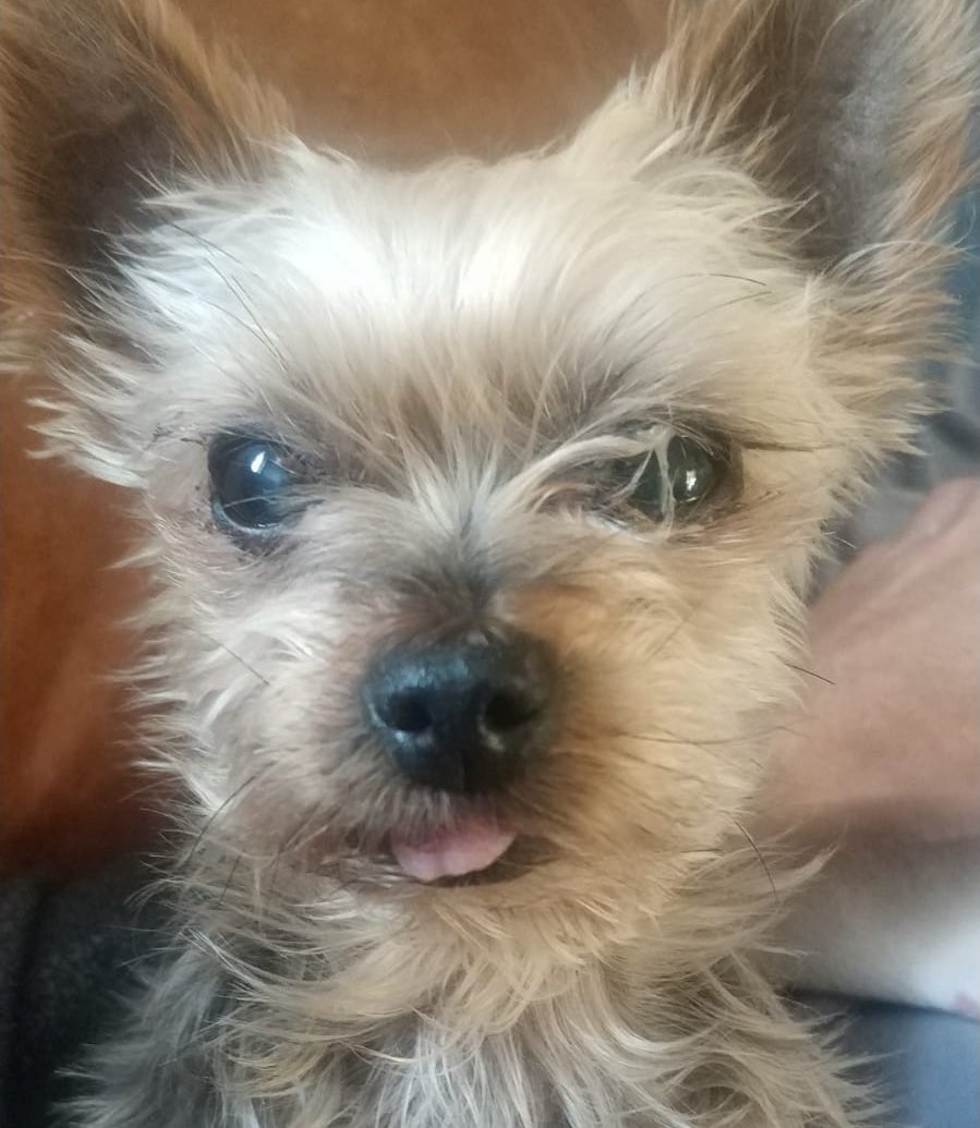 TNH_SW's tweet image. This is soo cute! We simply had to share 😍