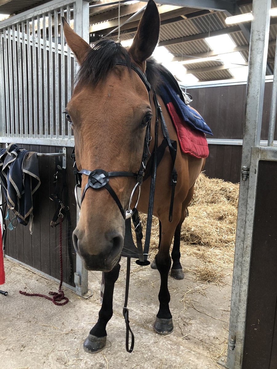 Fergal O'Brien Racing tweet media