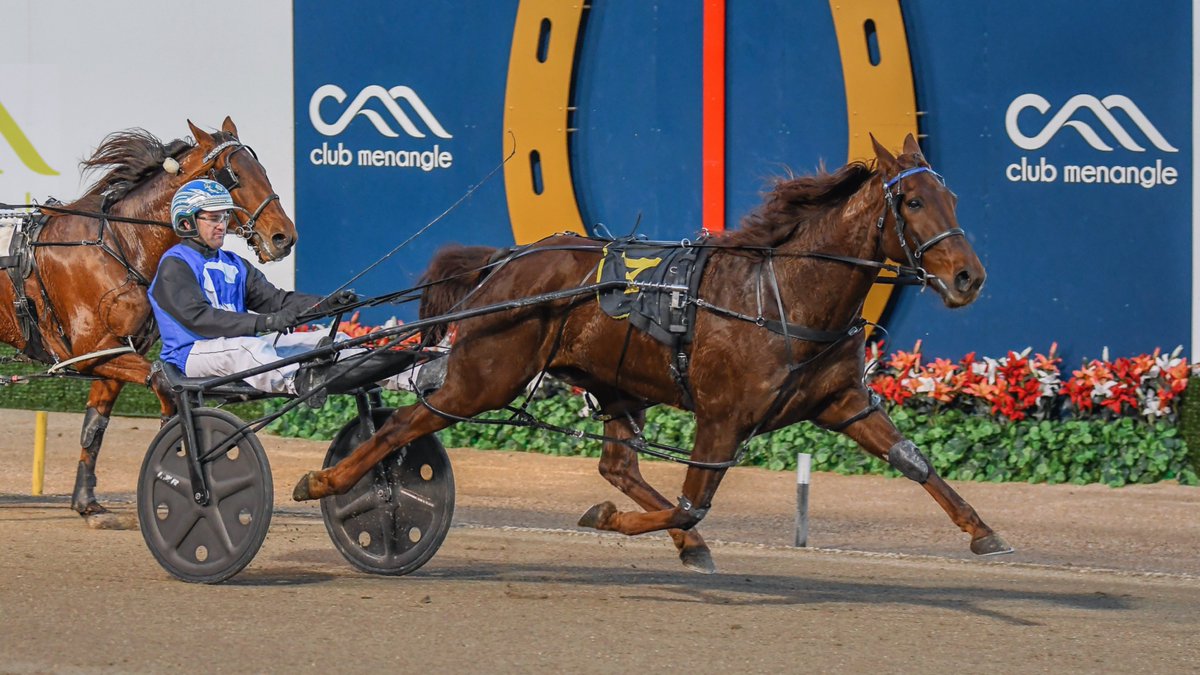 ClubMenangle's tweet photo. 𝐄𝐯𝐞𝐤𝐚𝐫𝐞.𝐜𝐨𝐦.𝐚𝐮 𝐏𝐚𝐜𝐞 - https://t.co/bGWBT9lghD

🐴 LIVING AGAIN 
𝐓𝐑𝐀𝐈𝐍𝐄𝐑: Craig Cross 
𝐃𝐑𝐈𝐕𝐄𝐑: Luke McCarthy (race to race driving double)
📹 https://t.co/83e1wOVkBL https://t.co/U2qva76Rwu