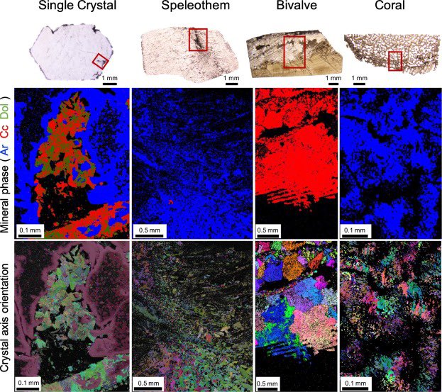 cpederson_geo's tweet photo. Our newest paper is out! Check out our findings during the experimental alteration of aragonite archives in Sedimentary Geology. Open access for 3 months here: https://t.co/bnce1Y0JfW
#aragonite #geology #paleoclimate https://t.co/IzJr7QWIHr