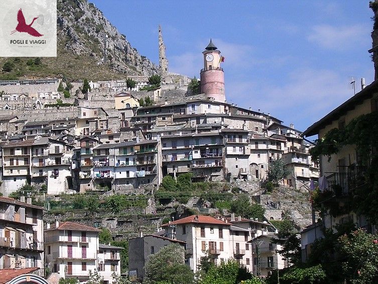 La meraviglia di Casterino
Andrea Aloi su foglieviaggi
pst.cr/pma8A
#Tenda #Tende #Casterino #Valledellemeraviglie #GorgesdeSaorge #AlpiMarittime