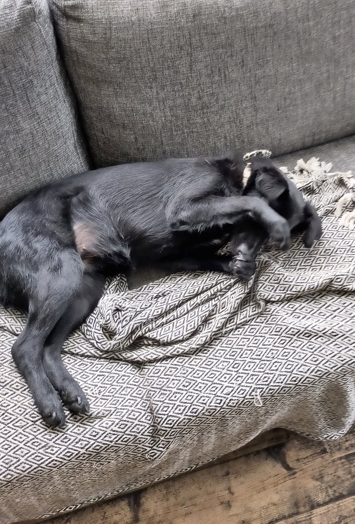 Als ik jou niet zie, zie je mij ook niet én slapen we nog even door, toch?

Oké, is goed.