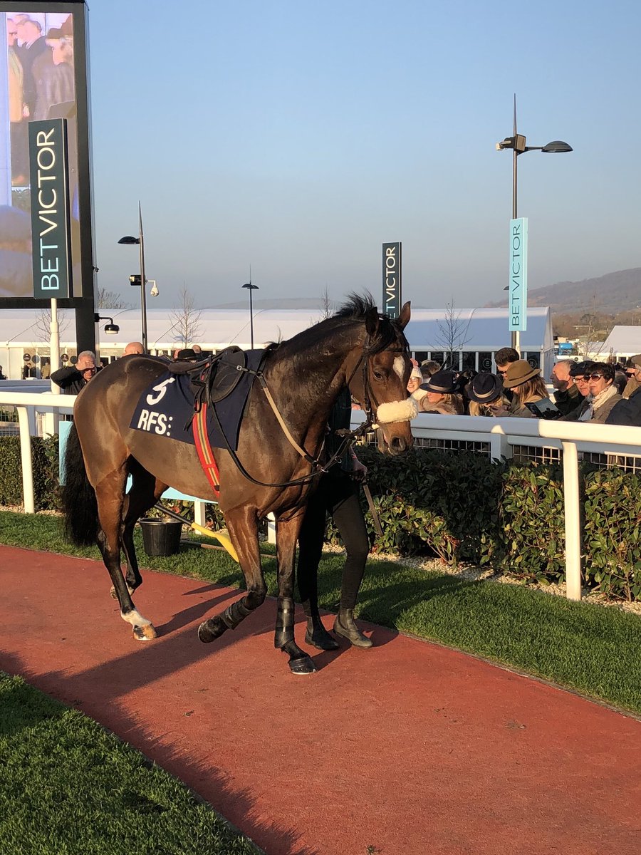 Well it’s been a long time but we are back today with #GoodbyeDancer runnning in the 2.55 <a href="/Southwell_Races/">Southwell Racecourse</a>. <a href="/PaddyBrennan81/">Paddy Brennan</a> is aboard and we hope they enjoy the trip.