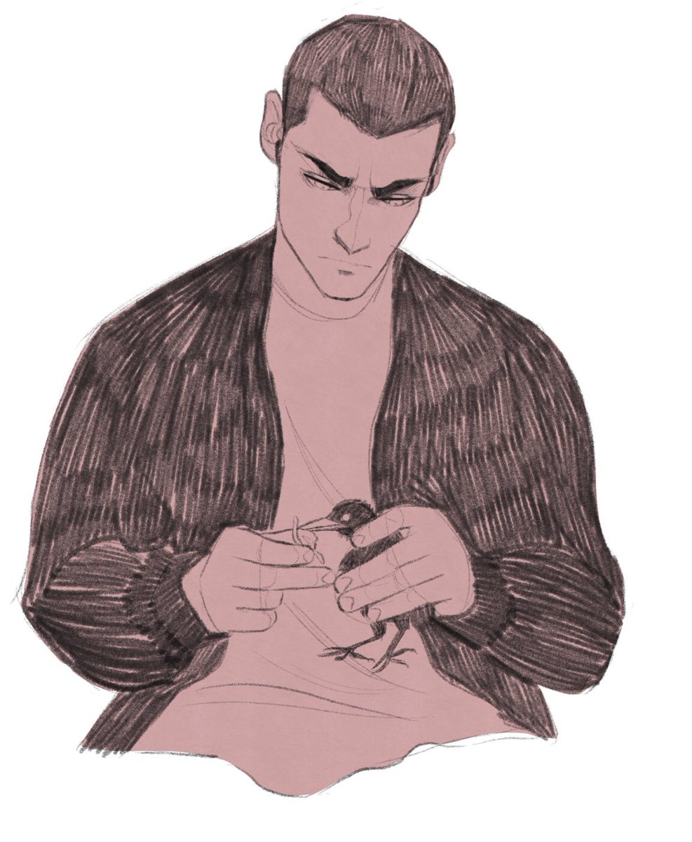 Chuck_The_Goon's tweet photo. The duality of birds and Ronan Lynch: to be soft or not to be soft with thyself, that is the question. #ronanlynch #trc #theravencycle #dreamthieves #theravenboys #maggiestiefvater #cdth https://t.co/APN15r7X9q