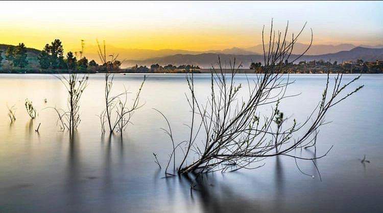 nature_connectn's tweet photo. Stillness and light!
.⠀
.⠀
Photo: @_colour_blynd_
.⠀
.⠀
#naturelovers #beautiful #nature #natureconnect #hope #storytelling #stillness #knownature #naturelover
#natureperfection #naturelife #calm #creations #light #naturewalk #amazing #Colors #beauty #TwitterNatureCommunity https://t.co/8tbdzReSzM