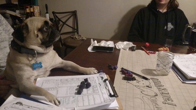 DM: ‘There’s a Dragon swarm up ahead’Dog: ‘I cast ‘Summon Animal Companion’DM: ‘Okay, what animal?’ Dog: ‘A cat'DM: ...DM: ‘A small confused tabby suddenly appears and awaits your orders’Dog: ‘I break out my provisions while ordering the cat to charge into battle’