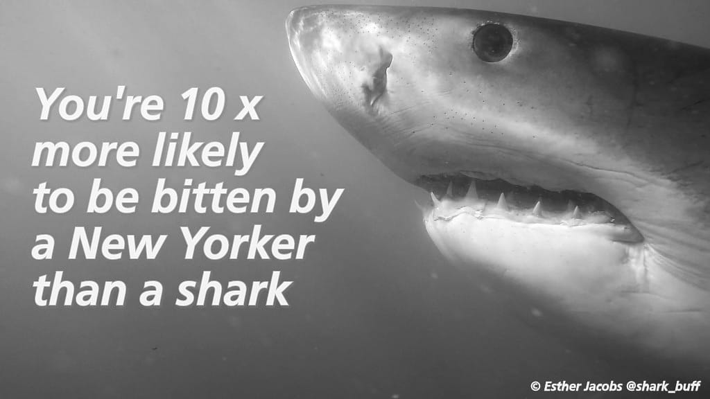 Keep Fin Alive tweet media