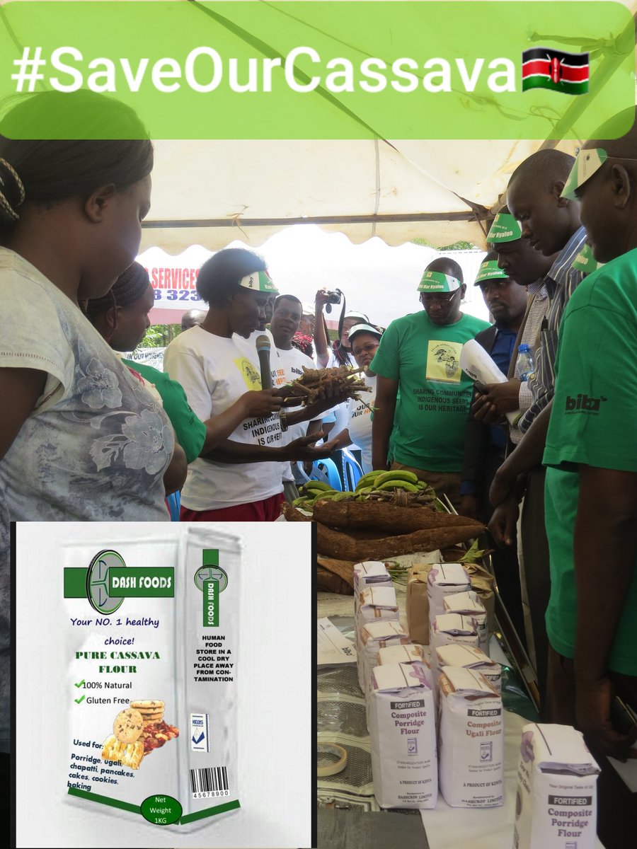 BIBA_Kenya's tweet photo. Buy Kenya,Build Kenya. Get pure #Cassava flour from @DashcropLTD based in @homabaycounty Kenya.
#SaveOurCassava 
#SayNoToGMOs https://t.co/8KCJA1maUH