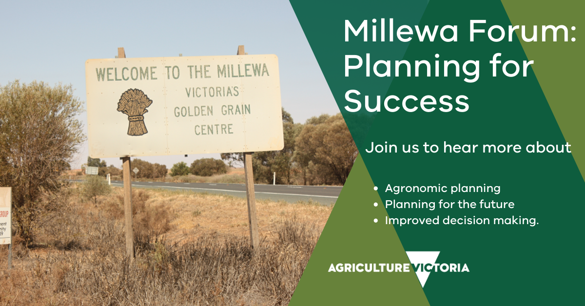 VicGovAg's tweet photo. Millewa farmers are invited to a series of FREE webinars on business planning and decision making, starting this Friday 17 July @ noon with agronomic planning. Register at https://t.co/h0nwZa3SfH Info: https://t.co/jKulI1VWNM @millewacarwarplandcare https://t.co/rSNDrAhLqk