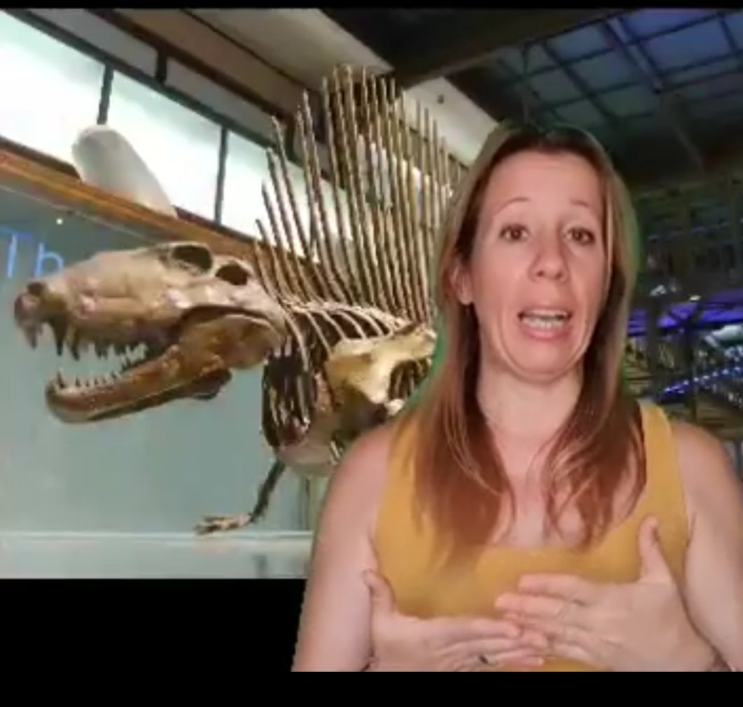 Diverarqueologa's tweet photo. ...Nuevo video en nuestro canal de youtube ...nos colamos en un Museo!! https://t.co/Kfg7Jizrpu