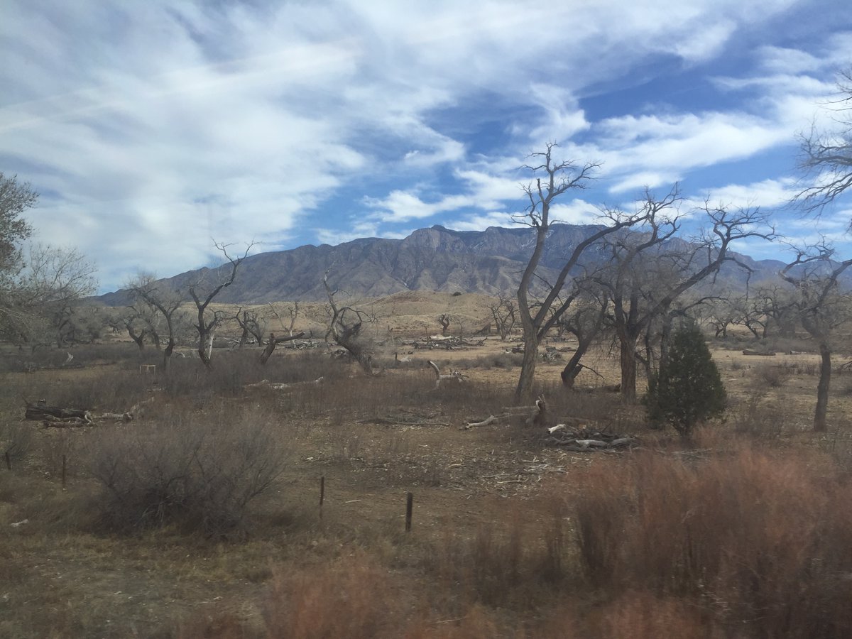 13/ Here are a few shots of the dry, striking landscape visible on the journey between Santa Fe and Albuquerque. Since I was in New Mexico briefly, only about 24 hours, and had no personal transport, this trip was a great way to see more than just Albuquerque's (dull) downtown.