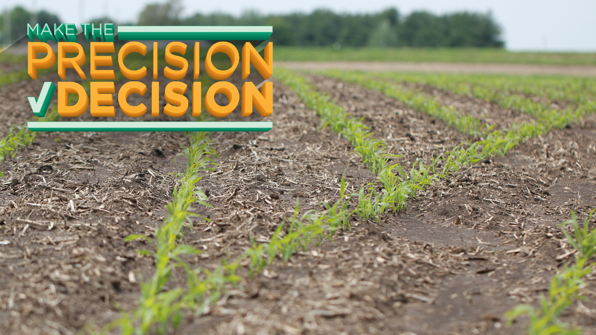 vDrive creates a picket fence stand—no matter
the crop! Get up to $200 off per row on select
<a href="/precisionplant/">Precision Planting</a> products when you make the
#precisiondecision this summer.