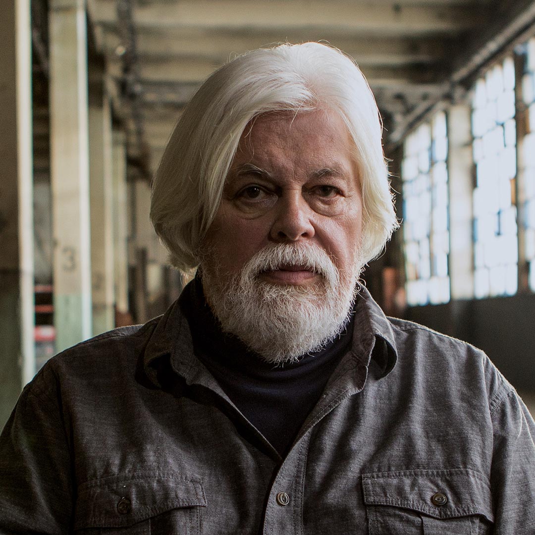 TerraMaterFS's tweet photo. OUT NOW!π΄ββ οΈ
#WatsonDoc, our latest feature documentary, a co-production with @Participant, is a portrait of @CaptPaulWatson's relentless fight to protect the oceans and the life within. π Get it now on AppleTV, PRIMEVideo & other digital platforms.
Trailer:https://t.co/XGwT205imL https://t.co/fxT5ZfoEt5