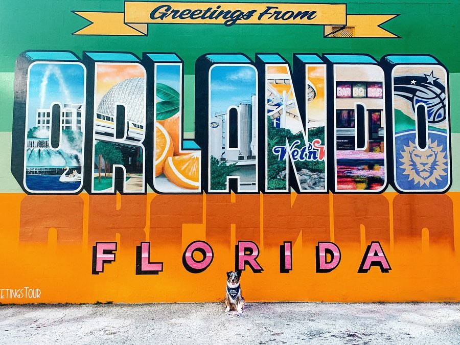 Puppies enjoy Orlando too!  

📷 : earth.to.mochi via IG