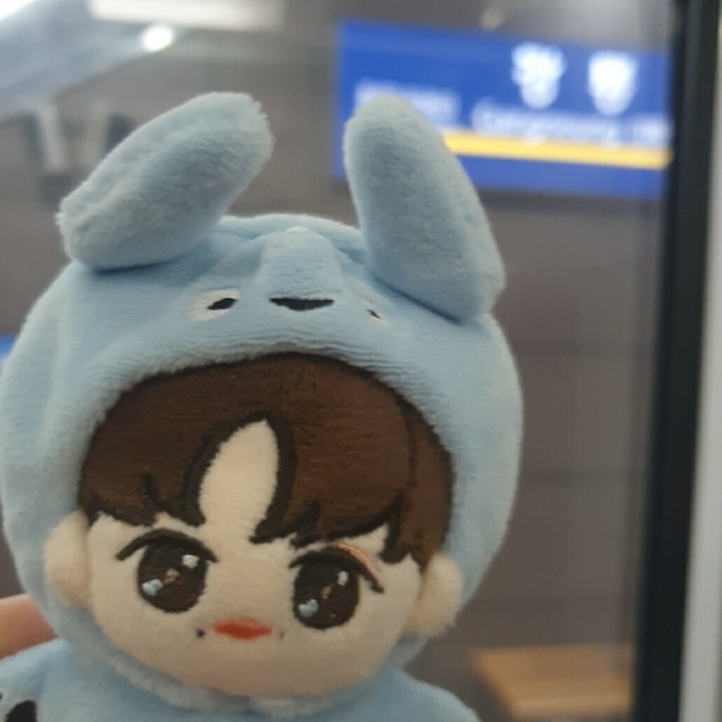 비바람을 뚫고 인피니티 풀을 즐긴 떤토로,,아니 떤토끼는 다시 일상으로 빠빠이