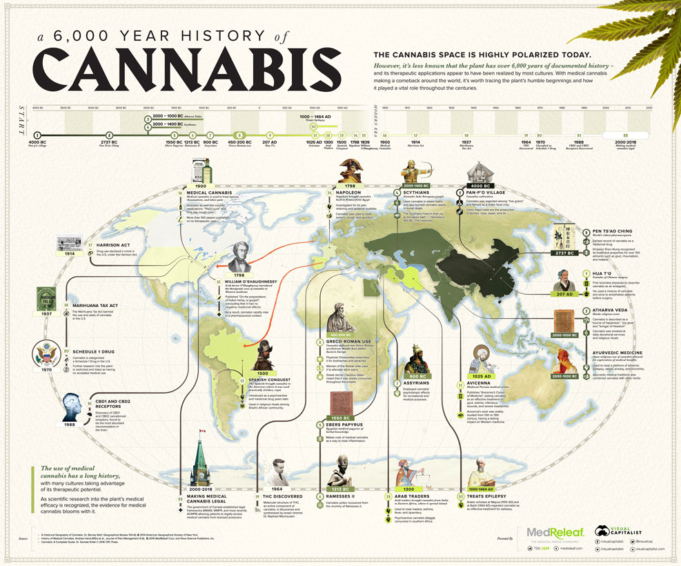 MOCannaHub's tweet photo. We love helpful infographics here @MOCannaHub - Here's a very well done one about the known & checkered history of Cannabis: https://t.co/mEZDcjQJtf #cannabisSensibility #CannabisCulture #CannabisCommunity #FTPFTP #Knowledgeispower https://t.co/7llD7C3bMT