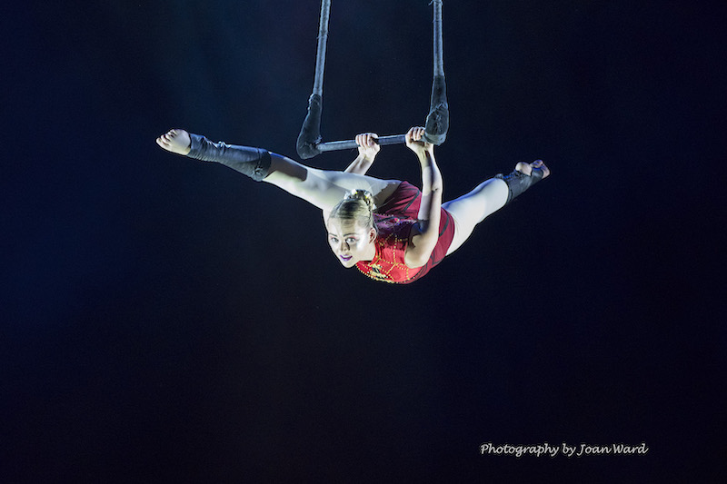 zipzapcircus's tweet photo. Wow! Check out the #rave #reviews for Zip Zap's show Once Upon A #Circus at #vFringe #VNAF #amazingeverywhere
https://t.co/6gZrZuDf0I https://t.co/Lhkn0hGjaG