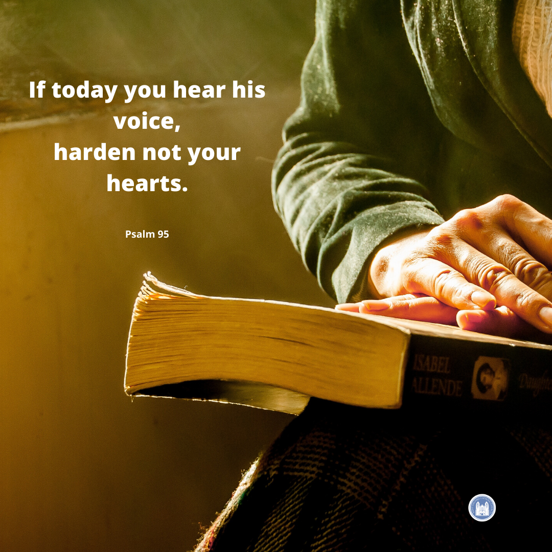 St Michael Livermore tweet media