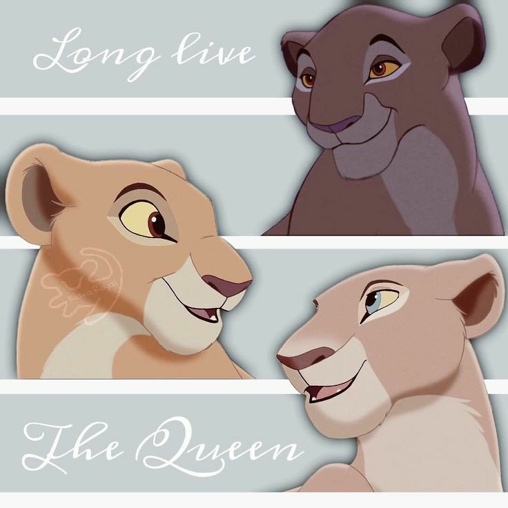 IanMaews's tweet photo. MEALS list for 23rd July/Wed/Dan's🎂,👑🐆🐾
@MaewsFoals
@MiniFoals
@cubsross
@RTHG82 
3 health, 3 A. Zadkiel prayers. Breakfast: 1950s. Lunch: Tunisia. Bewitched S2 Ep 9. Tea items: Golden Girls S2 Ep 8. Dinner: A few dollars more. Supper &amp; bedtime: Lois and Clark season 2, ep 7. https://t.co/1BDFyG9sKR