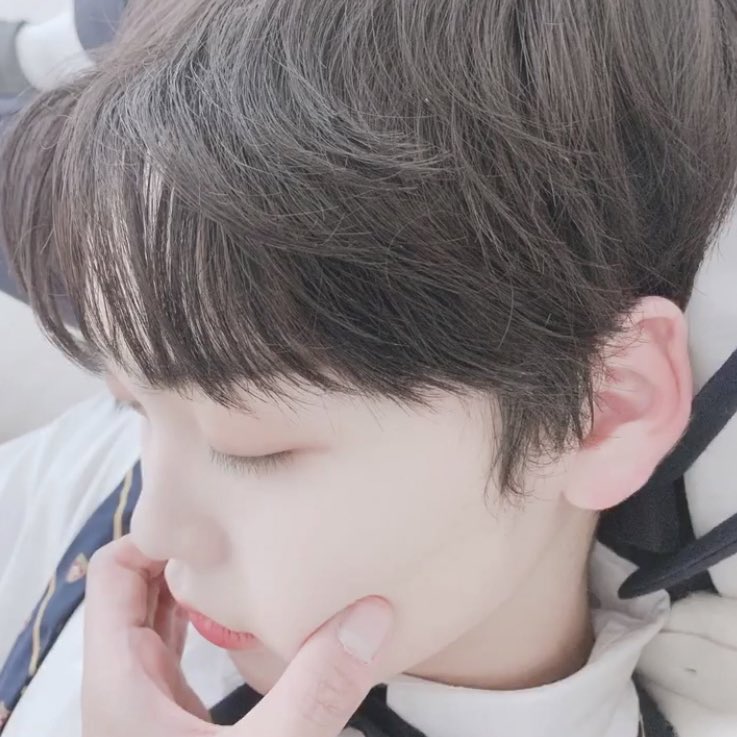 _moon1130's tweet photo. 잠자는 강아지 너무 하얗고 말랑하고 소중해ㅠ https://t.co/Xy4dmxhyo3