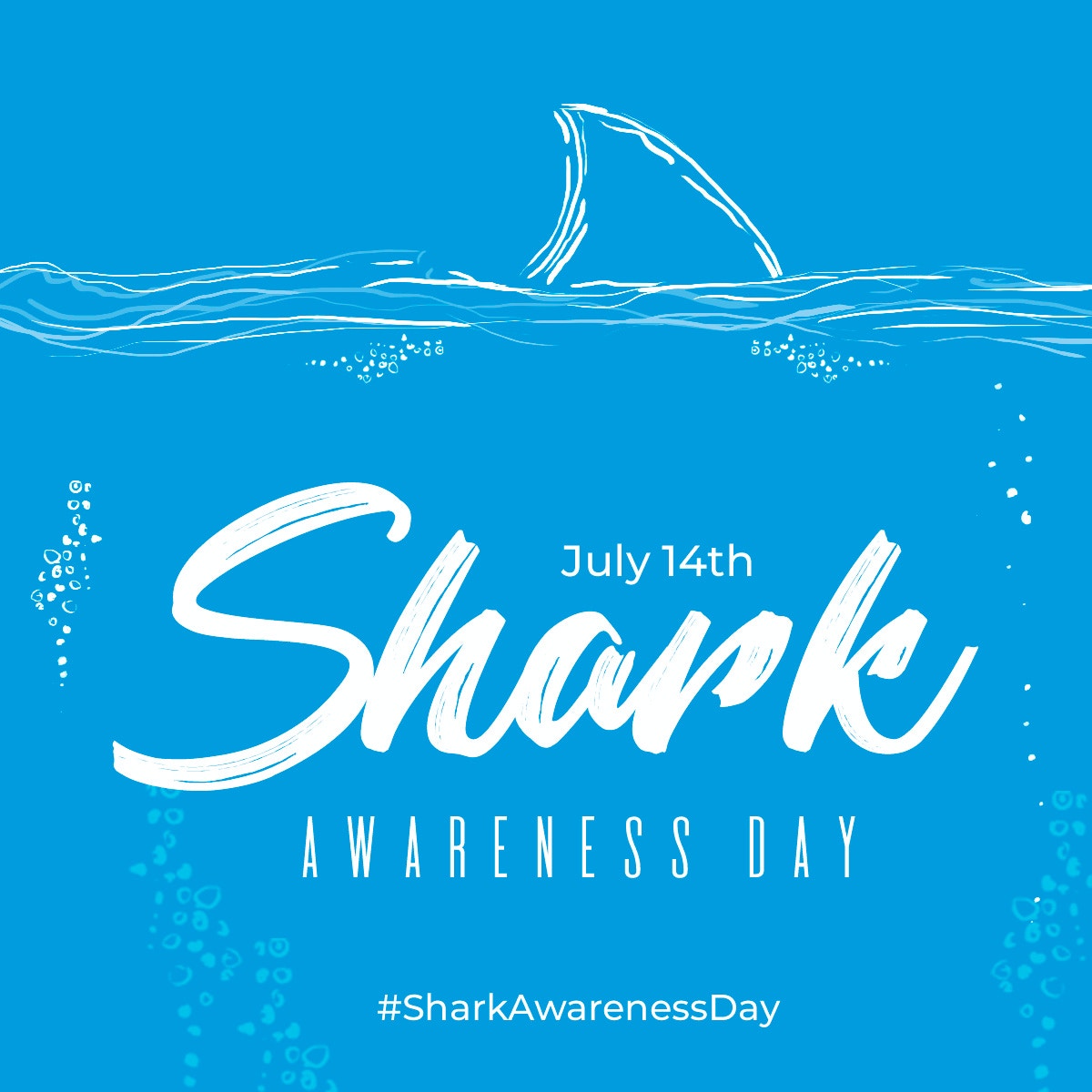 winestastings's tweet photo. Watch out for sharks today! 😂 🦈 https://t.co/atkbmwqCzK