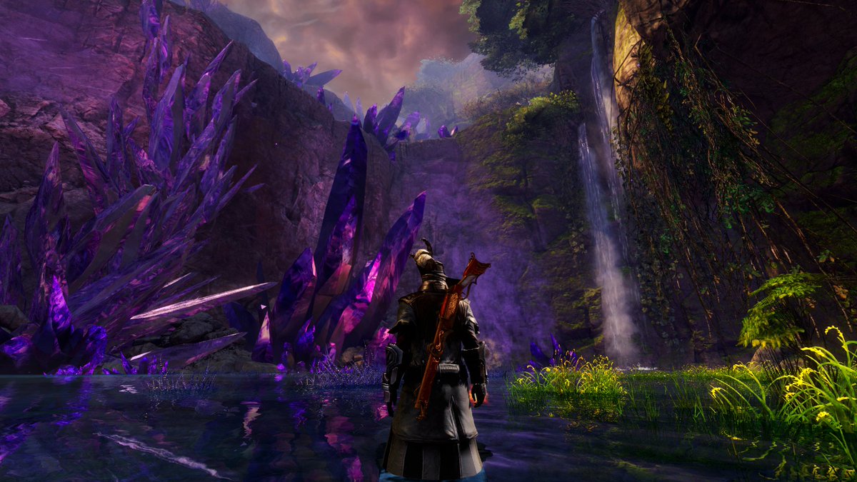 thegw2donkey's tweet photo. Nearly a year to the day I last played. I've missed #gw2 something fierce &amp; been thinking about it a lot and really want to get back into it. So I'm picking up the old account again. Love that you can easily return to @GuildWars2 no matter how long #GW2WelcomeBack #gaming https://t.co/E81QdyXjnD
