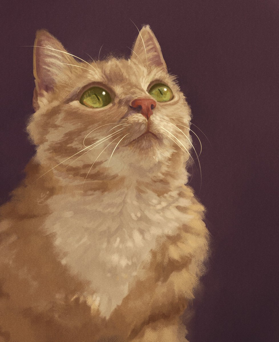 shroomae's tweet photo. Hey! I am Veron, a Filipino digital artist who draws pets and people. A concept illustrator in the works as well!

Email: vjc.illustrations@gmail.com
AHRT: https://t.co/RhfqMmw2ci

I'm currently open for commissions :)

#PortfolioDay #artph #art #opencommissions https://t.co/IvpvMaUMPg