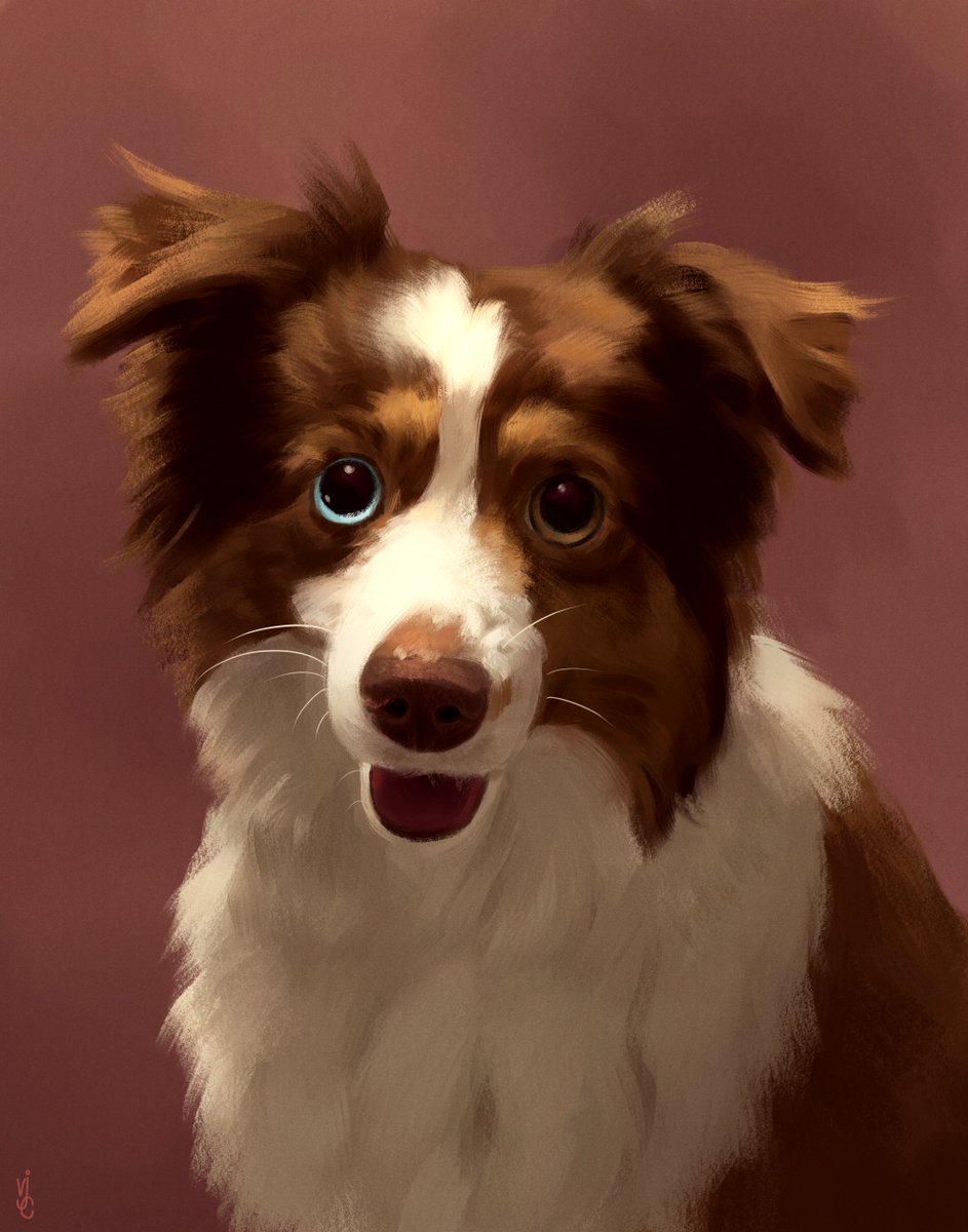 shroomae's tweet photo. Hey! I am Veron, a Filipino digital artist who draws pets and people. A concept illustrator in the works as well!

Email: vjc.illustrations@gmail.com
AHRT: https://t.co/RhfqMmw2ci

I'm currently open for commissions :)

#PortfolioDay #artph #art #opencommissions https://t.co/IvpvMaUMPg