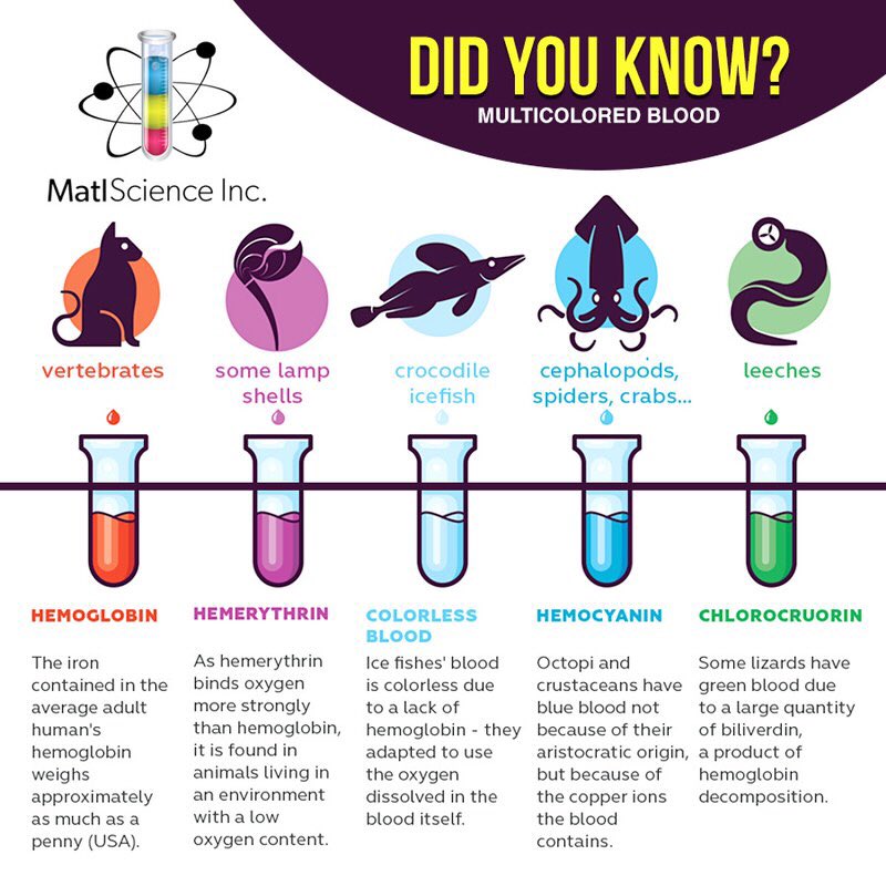 Did You Know About MultiColored Blood?
Check It Out👇🏽