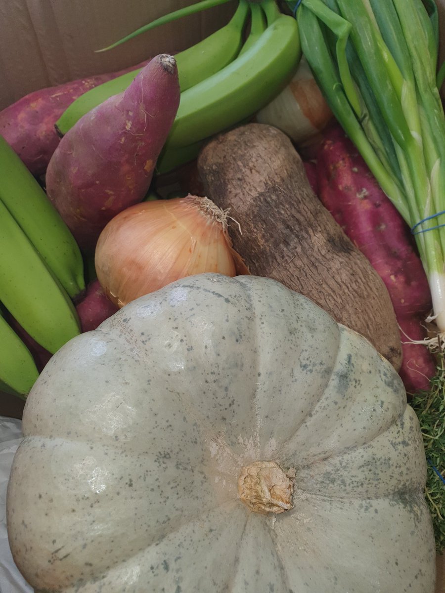 We were struggling to find suppliers  #CaribbeanFoods 4 our #SupportOurSeniors ThQ #HardFoodBox 4 providing nutritious staples #GreenBanana excellent for iron #ChoCho rich in magnesium &amp; potassium helps to reduce high blood pressure #EatingYourselfHealthy